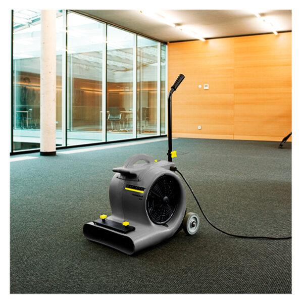 Sopladora Secadora Karcher AB 84 Classic 700W 3 Niveles Velocidad